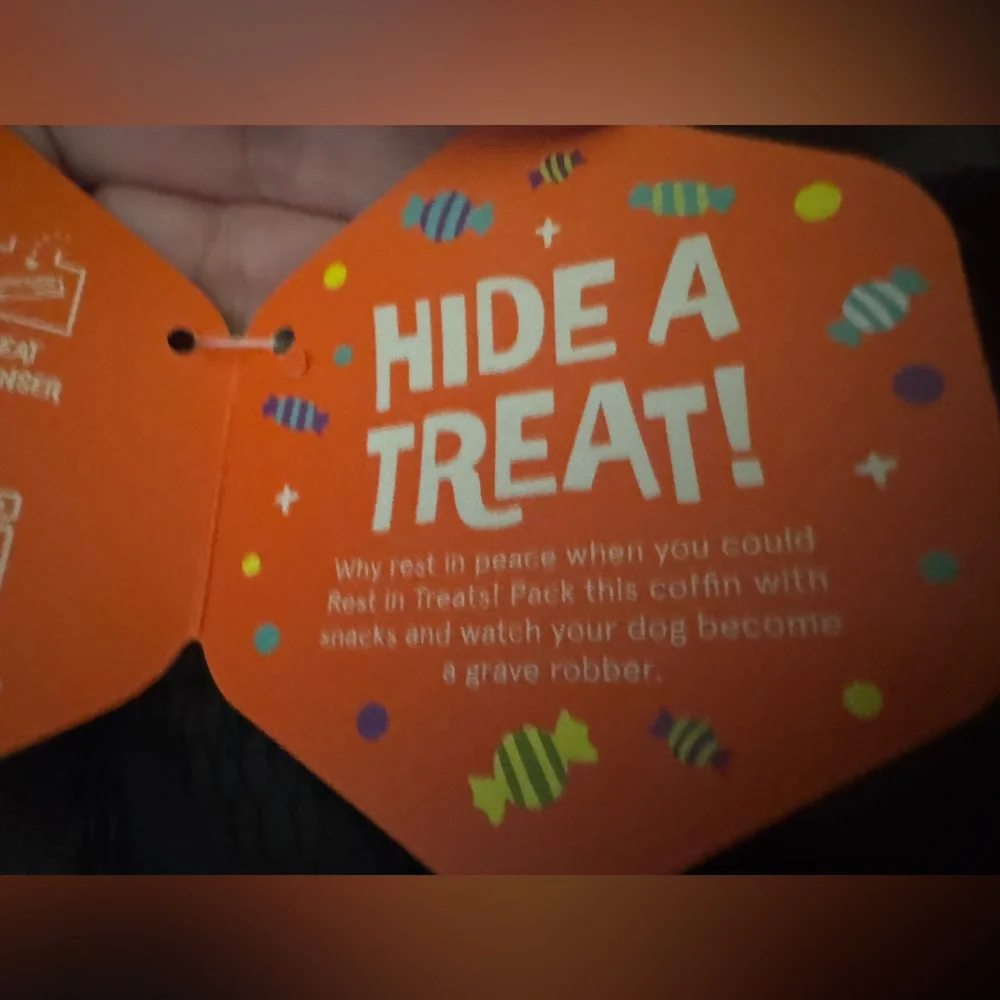 Bark Box Super Chewer L dog toy Treat dispensing Coffin NEW